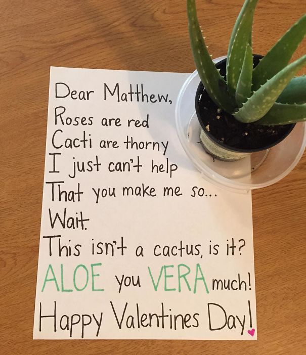 Funny Valentine’s Day Gifts And Cards By People With An Unconventional Definition Of Romance (24 pics)