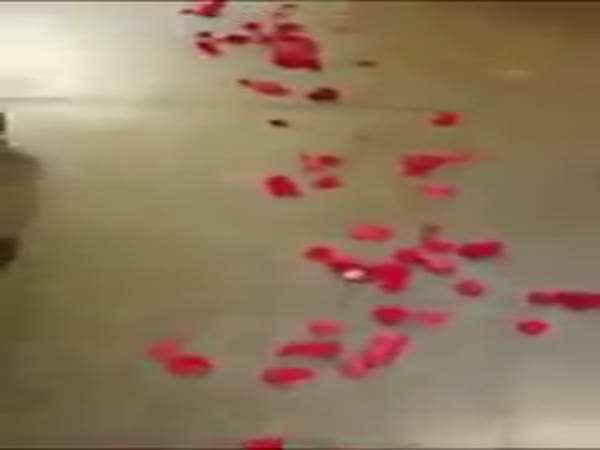 Best Valentine's Day Ever