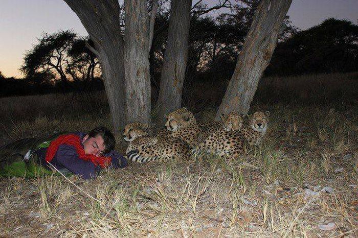 Acid Picdump (95 pics)