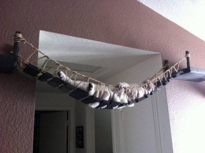 Acid Picdump (95 pics)