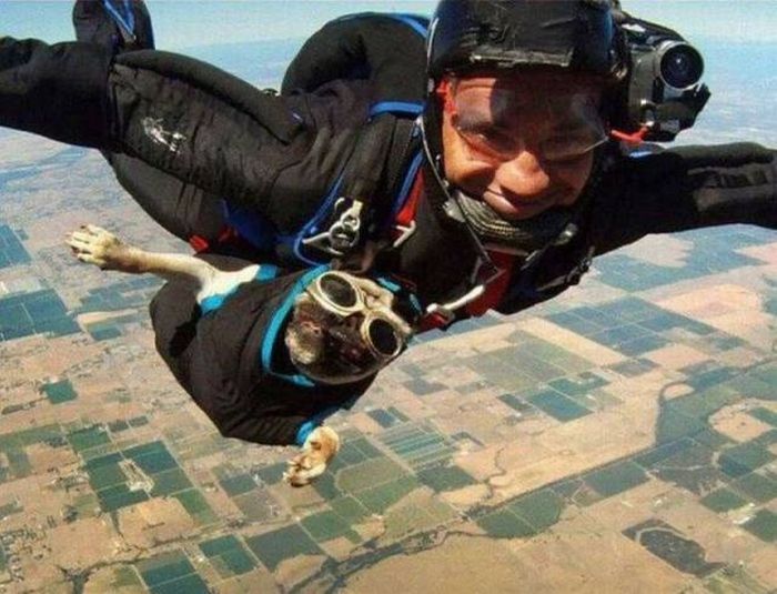 Acid Picdump (95 pics)