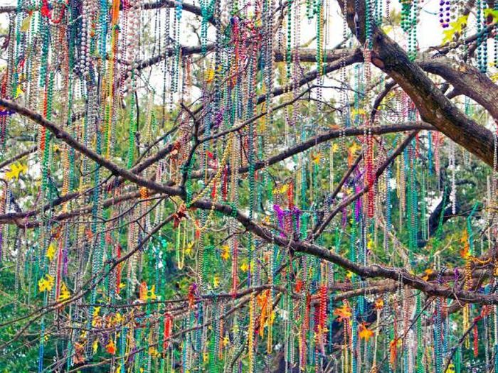 Acid Picdump (95 pics)