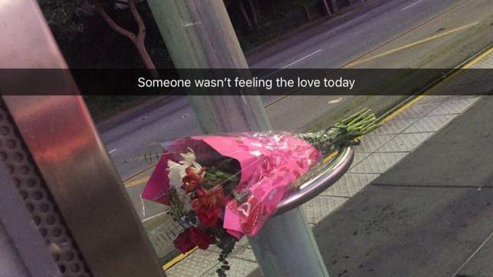 Acid Picdump (95 pics)