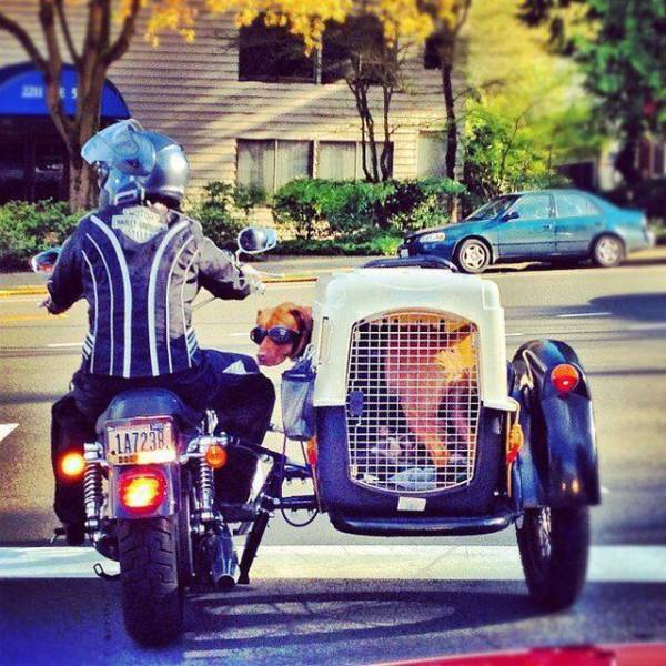 Acid Picdump (95 pics)