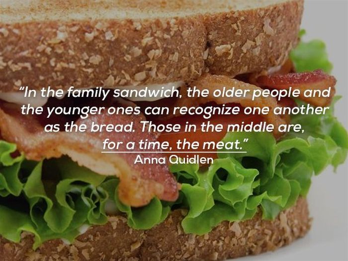 Funny Quotes About Family Life (17 pics)