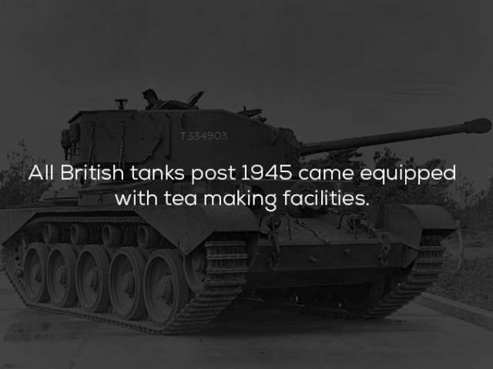 Interesting History Facts (25 pics)