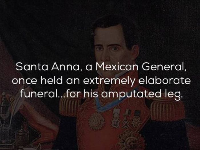 Interesting History Facts (25 pics)