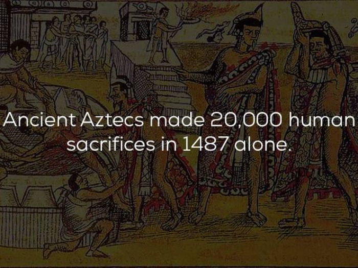 Interesting History Facts (25 pics)