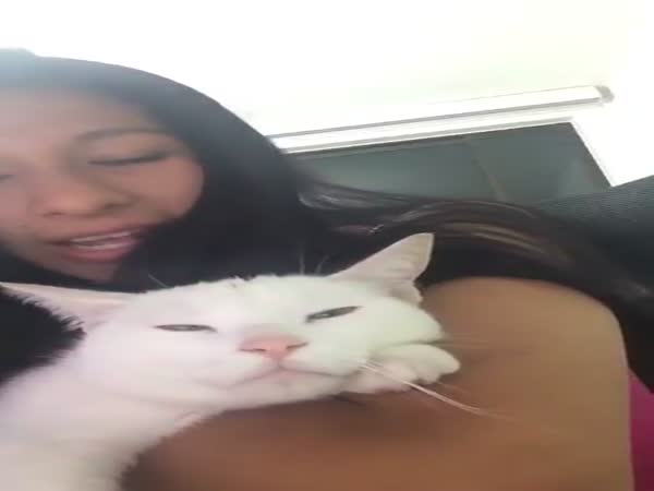 Girl Sings With Her Cat