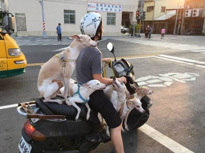 It's So Strange And Unusual (25 pics)