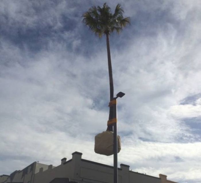 It's So Strange And Unusual (25 pics)