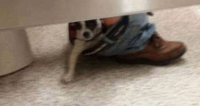 It's So Strange And Unusual (25 pics)