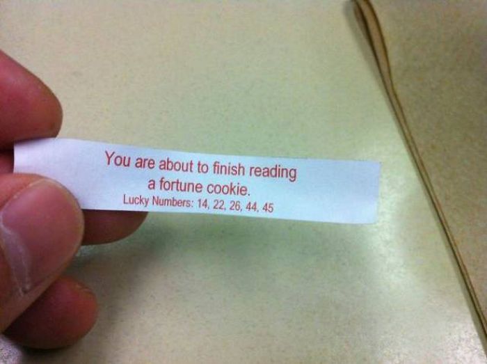 Strange And Funny Fortune Cookie Messages (40 pics)