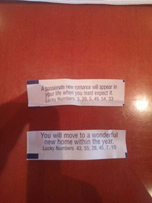 Strange And Funny Fortune Cookie Messages (40 pics)