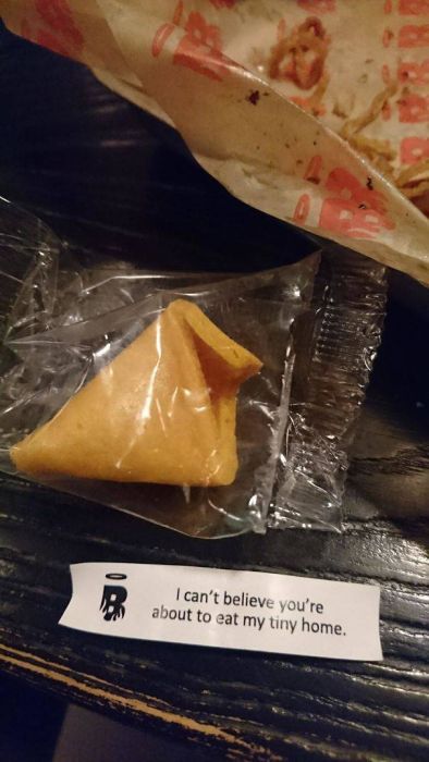 Strange And Funny Fortune Cookie Messages (40 pics)