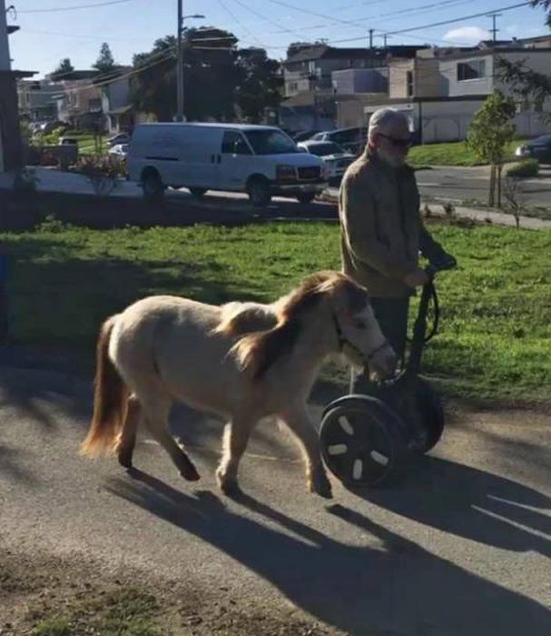 These People Are Just Not Like The Rest Of Us (26 pics)