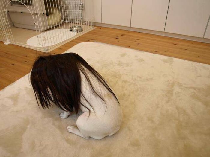 Acid Picdump (90 pics)