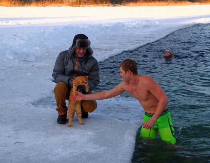 Acid Picdump (90 pics)