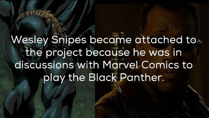 Facts About ‘Blade’ (19 pics)