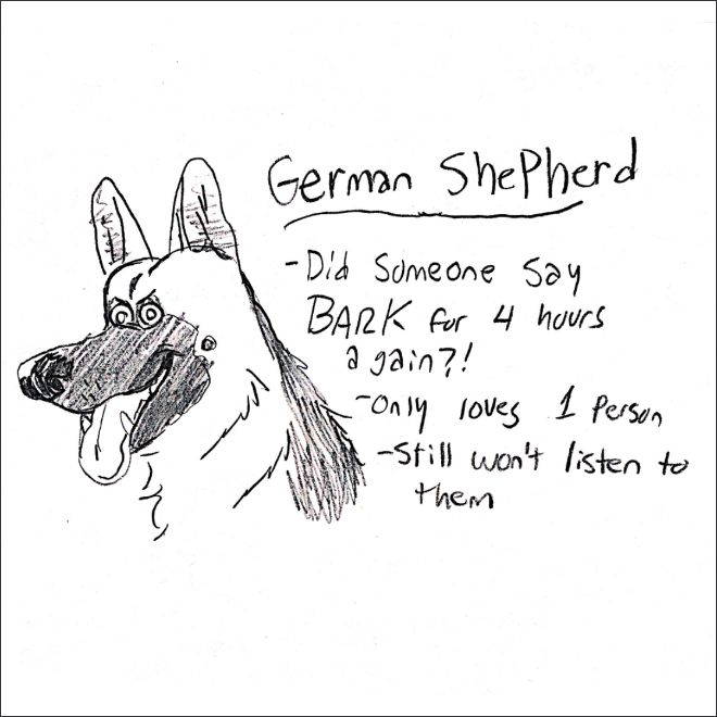 Illustrated Guide To Dog Breeds (15 pics)