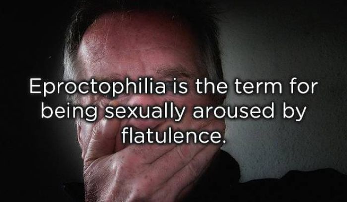 Facts About Farts (20 pics)