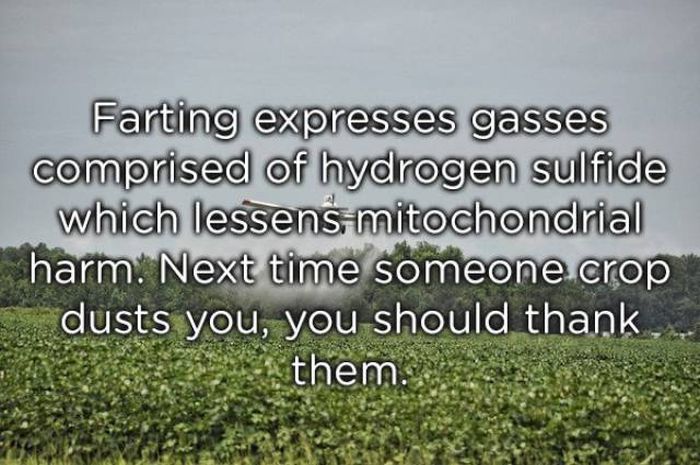 Facts About Farts (20 pics)