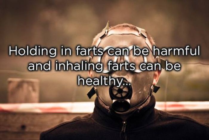 Facts About Farts (20 pics)