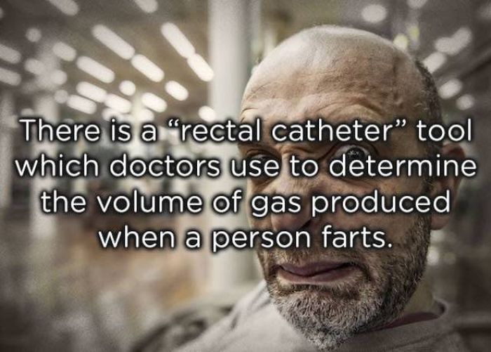 Facts About Farts (20 pics)