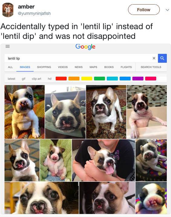 They Weren’t Disappointed By Their Wrong Google Searches (34 pics)