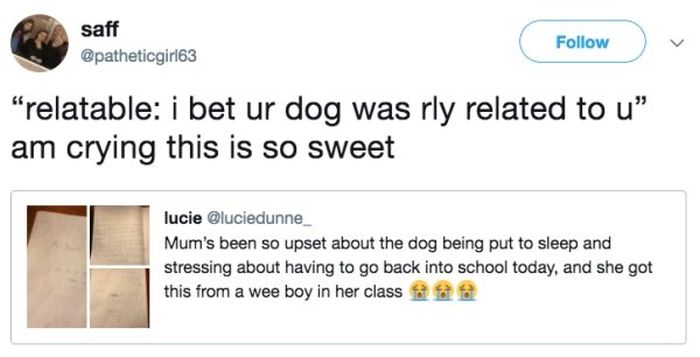 Little Boy Writes His Teacher A Letter After Her Dog Died (9 pics)