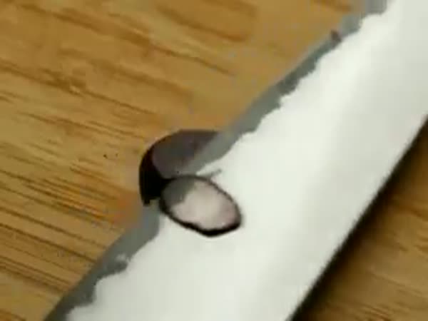 Shibata Kotetsu Knife vs Grape