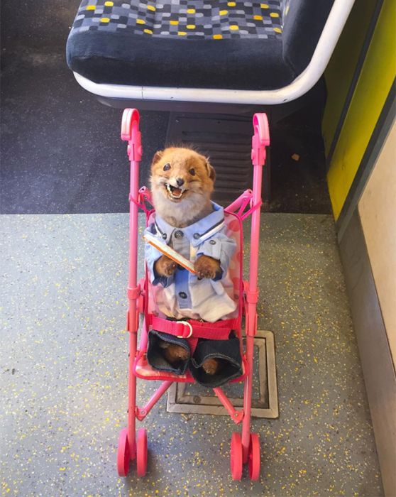 This Woman Takes Her Taxidermy Fox Everywhere She Goes (15 pics)