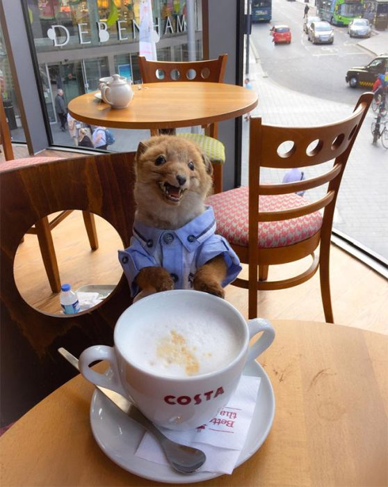 This Woman Takes Her Taxidermy Fox Everywhere She Goes (15 pics)