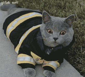 Acid Gifdump, February 23, 2018 (25 gifs)