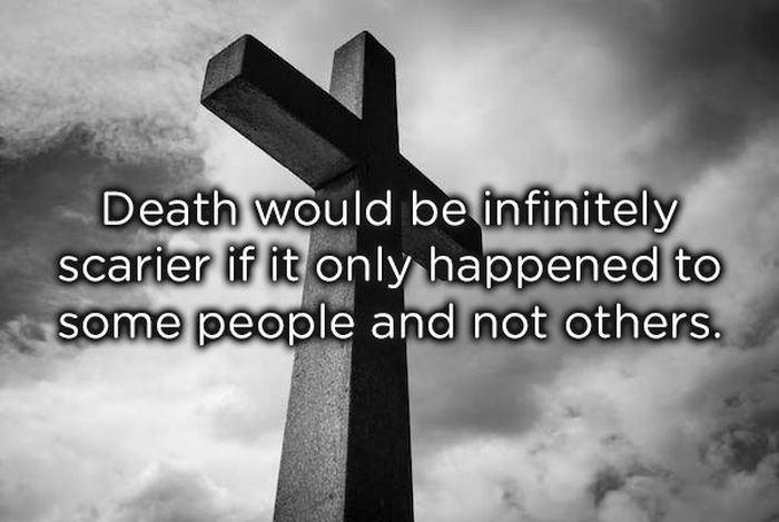 Shower Thoughts (19 pics)