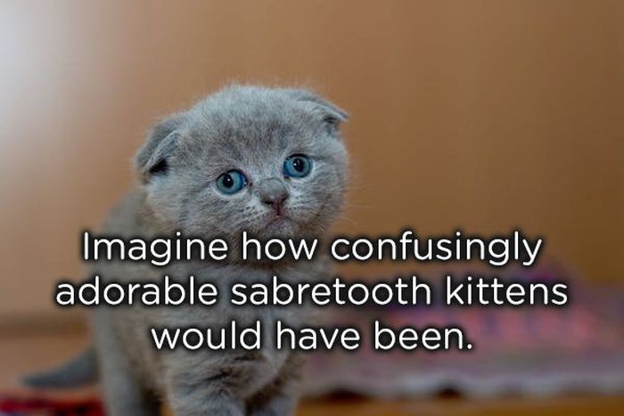 Shower Thoughts (19 pics)