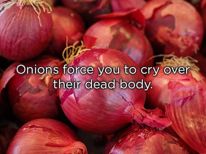 Shower Thoughts (19 pics)
