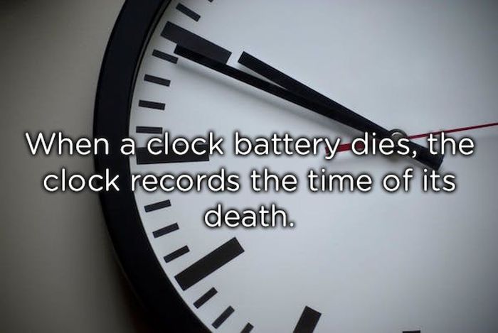 Shower Thoughts (19 pics)