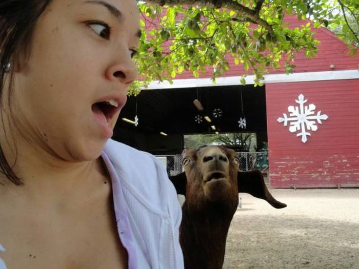 Acid Picdump (91 pics)