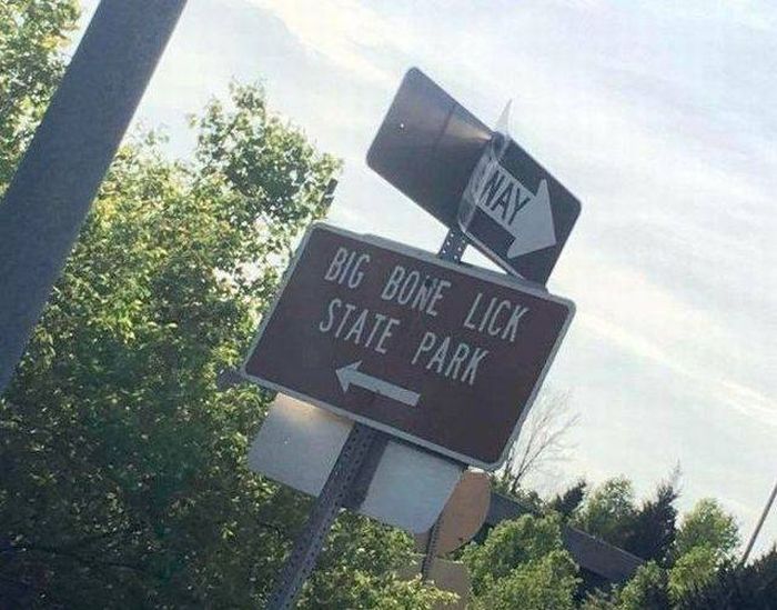Acid Picdump (91 pics)
