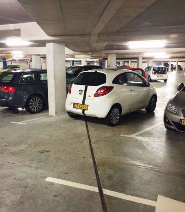 Acid Picdump (91 pics)