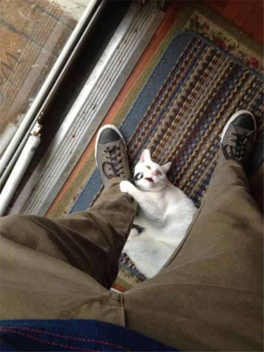 Acid Picdump (91 pics)