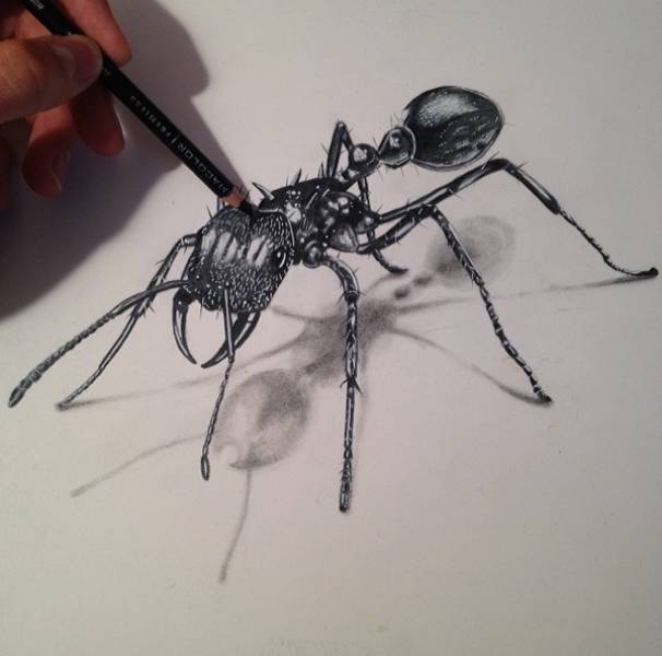 Acid Picdump (91 pics)