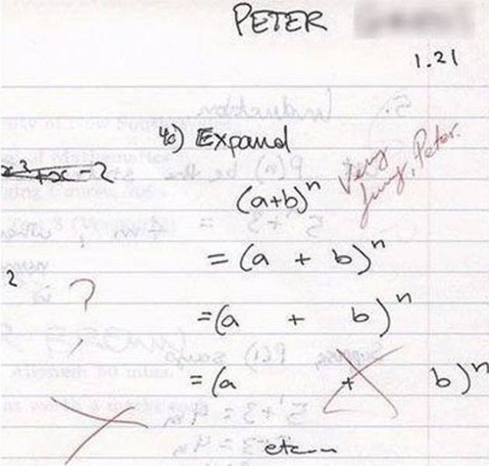 Funny Homeworks (25 pics)