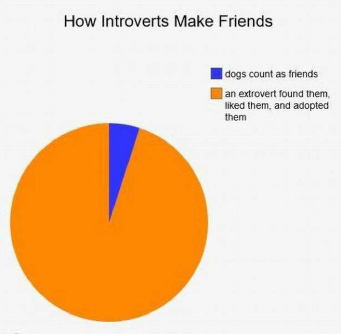 Problems Introverts Have (25 pics)