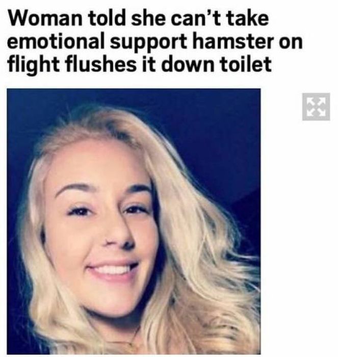 Selection Of Memes (52 pics)