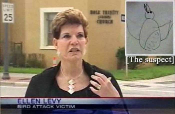 Strange Things On The News (29 pics)