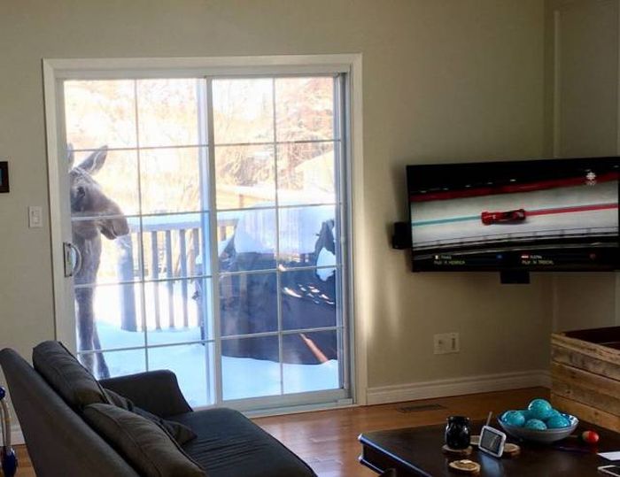 Awesome Pictures (56 pics)