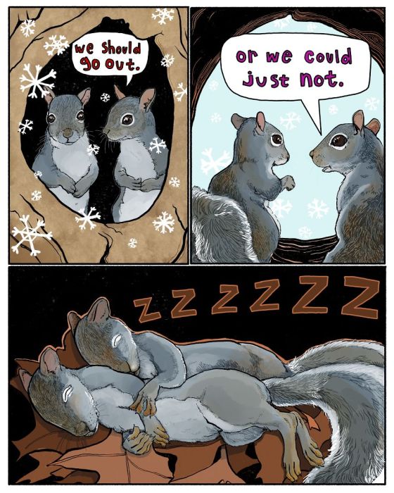A Girl Makes Animal Comics To Cope With Anxiety (20 pics)