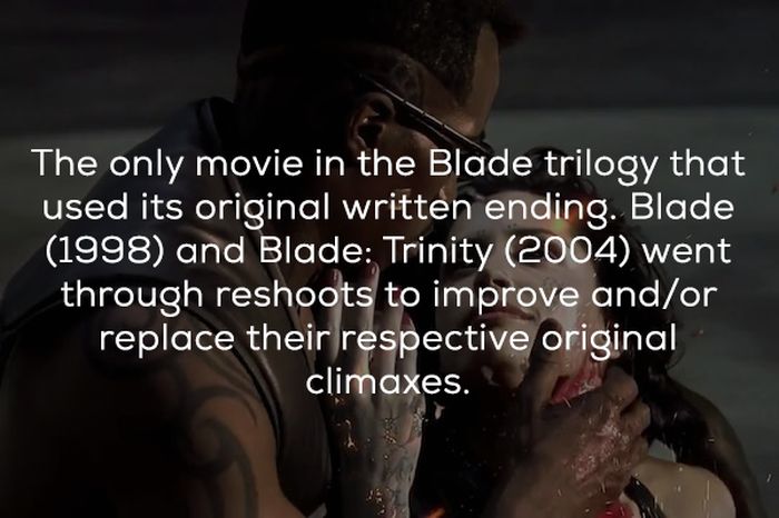 Blade II Facts (20 pics)